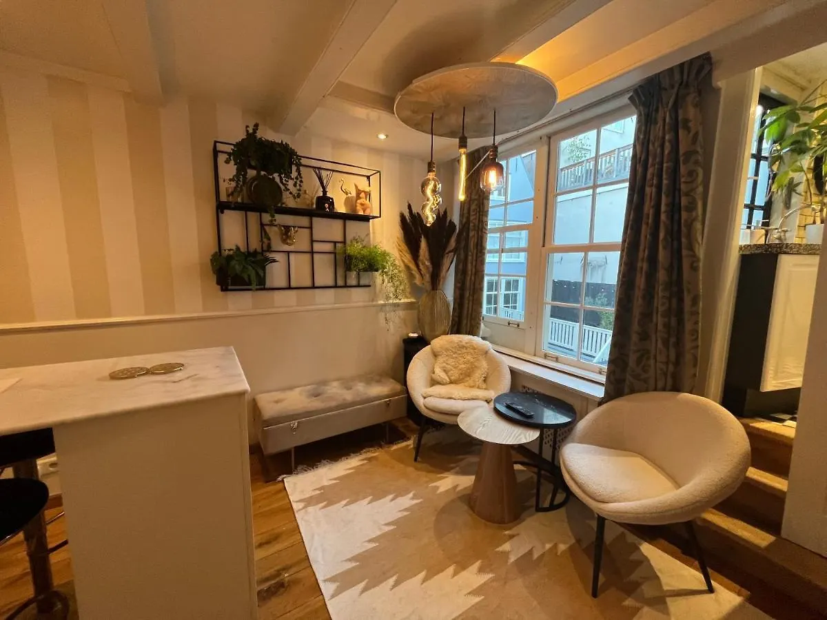 The Enlightened House Luxury Suites アムステルダム 0*,  オランダ